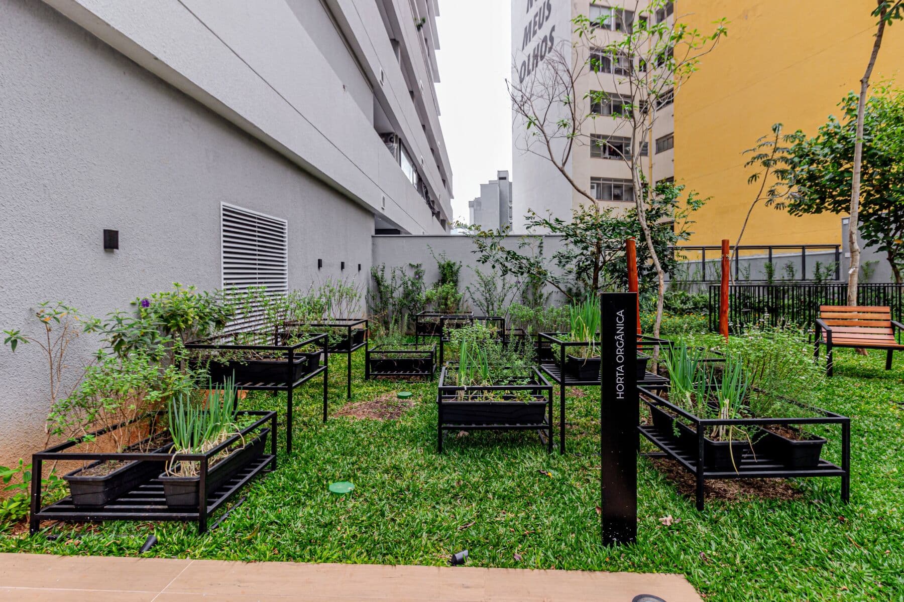 Charlie Nik Paulista