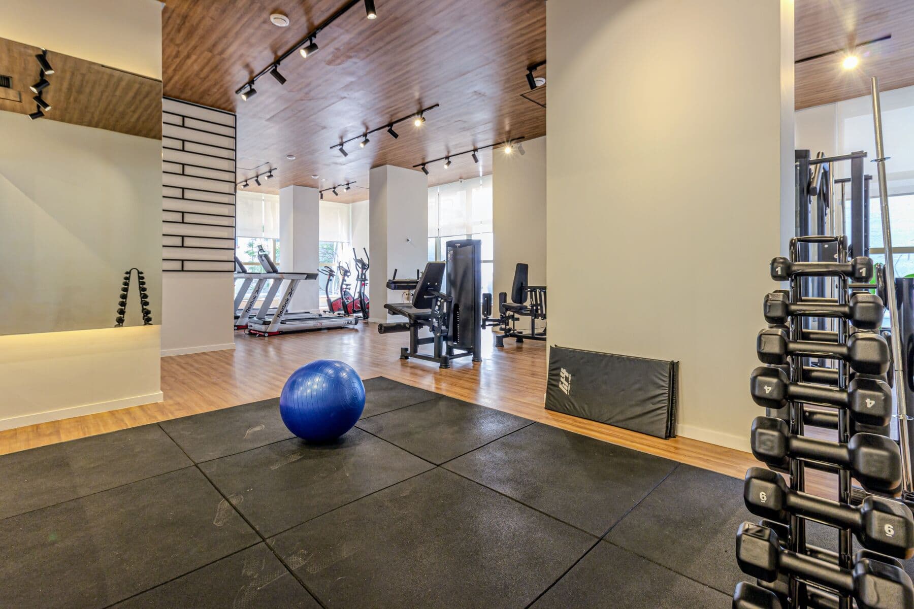 Charlie Nik Paradiso